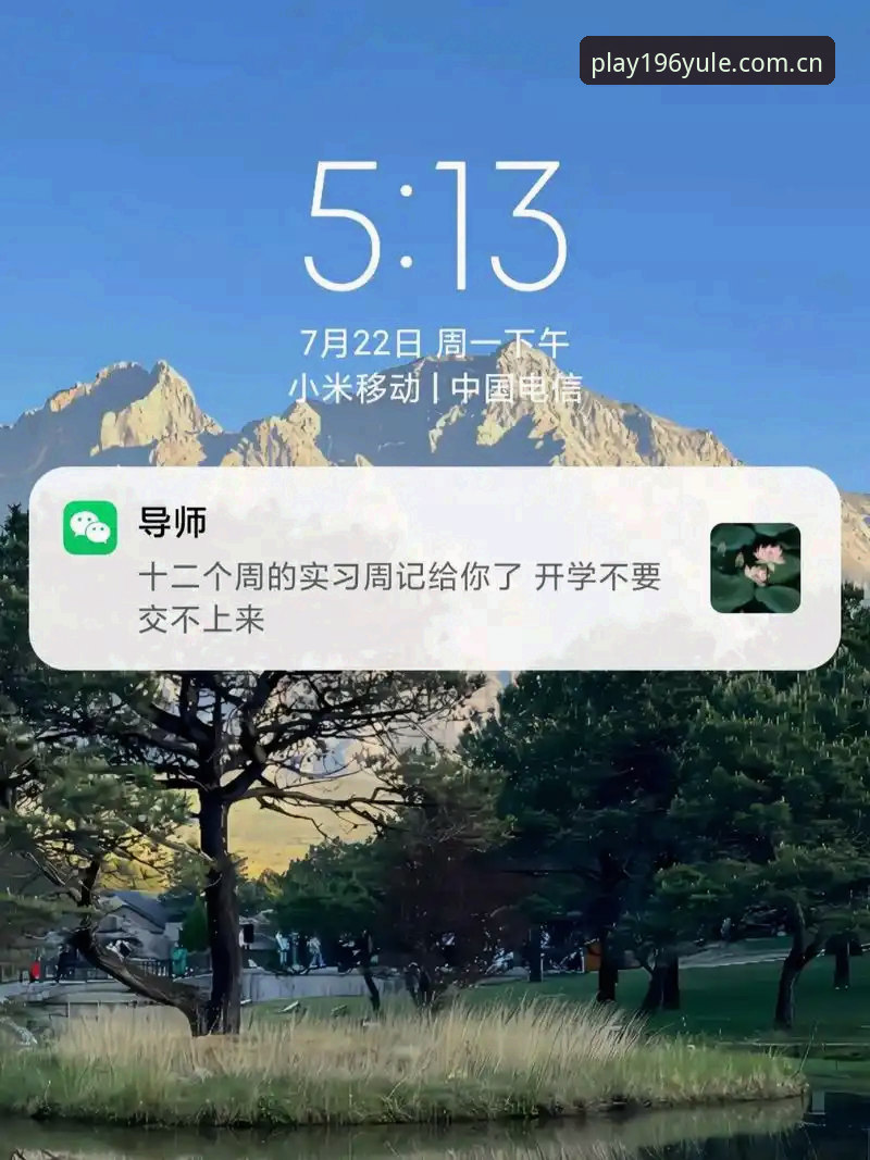 196娱乐体育平台最新版本实用指南：功能升级与使用技巧全解析